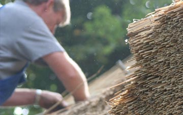 professional Tamnyrankin thatchers